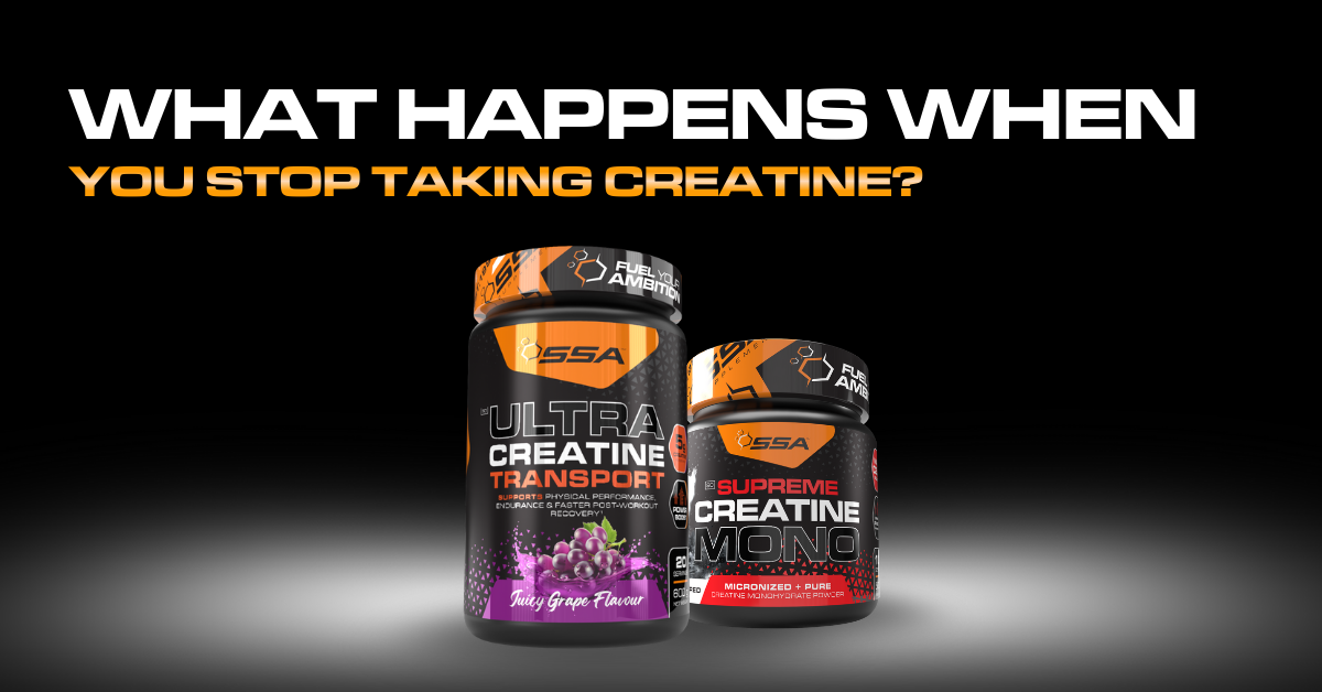 What Happens When You Stop Taking Creatine?